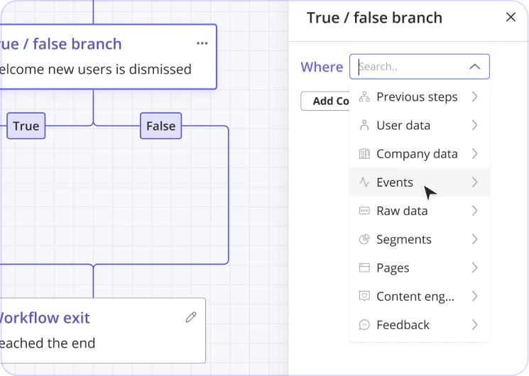 Branching Logic Userpilot